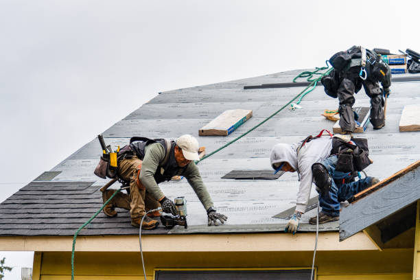 Professional Gutter Installation technician working in Fall Branch, TN